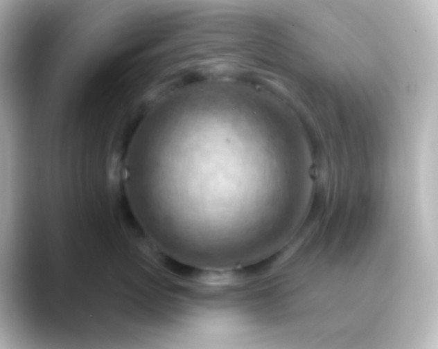 X0000088830767200706211815