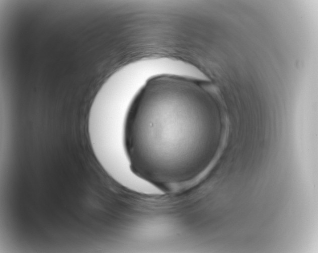 X0000088830768200706211815