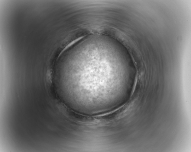 X0000088830772200706211814