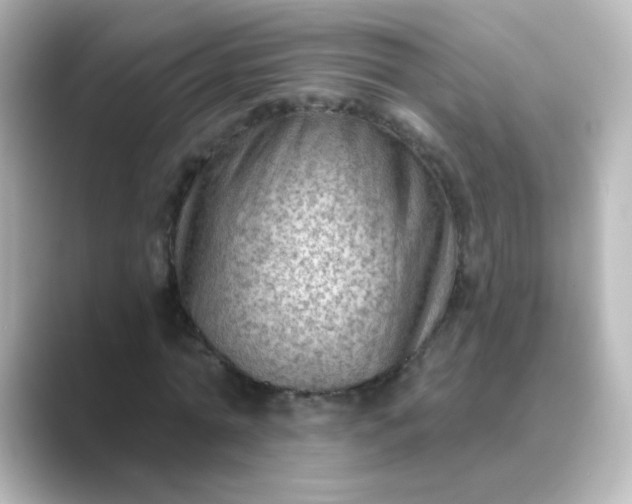 X0000088830774200706211814