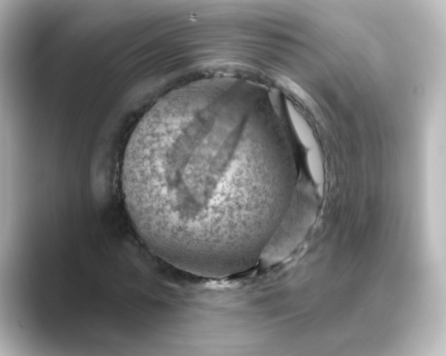 X0000088830775200706211814