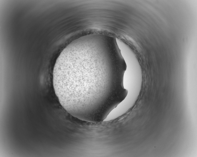 X0000088830776200706211814