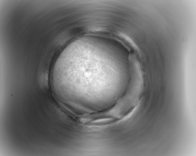 X0000088830777200706211814