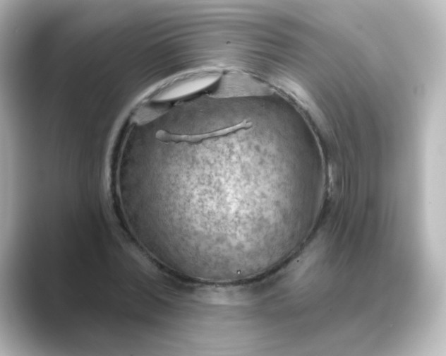 X0000088830780200706211814