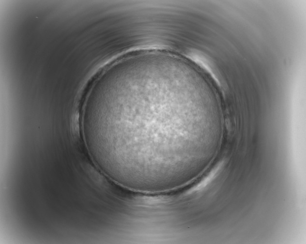 X0000088830781200706211814