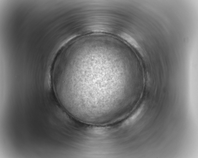 X0000088830782200706211814