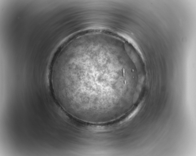 X0000088830783200706211814