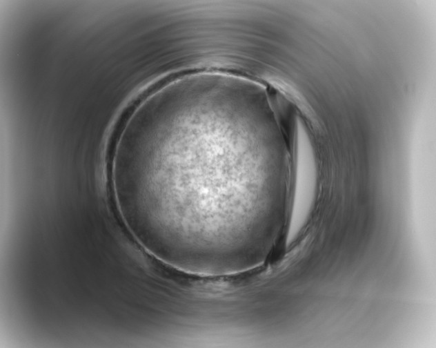 X0000088830784200706211814