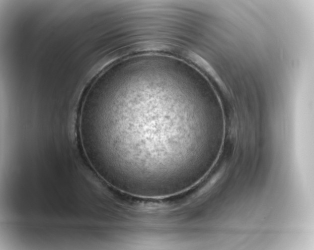 X0000088830786200706211814