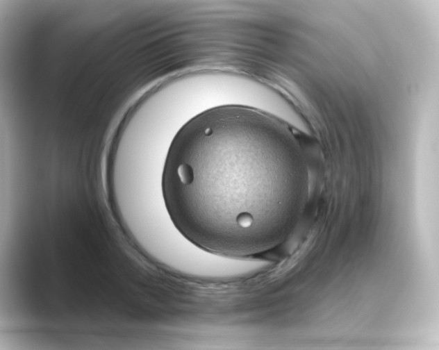 X0000088830788200706211814