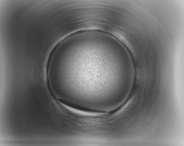 X0000088830789200706211814