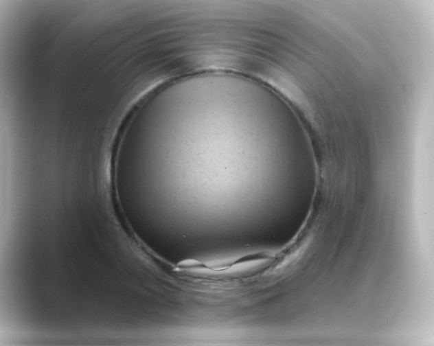 X0000088830790200706211814