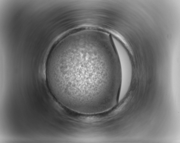 X0000088830791200706211814