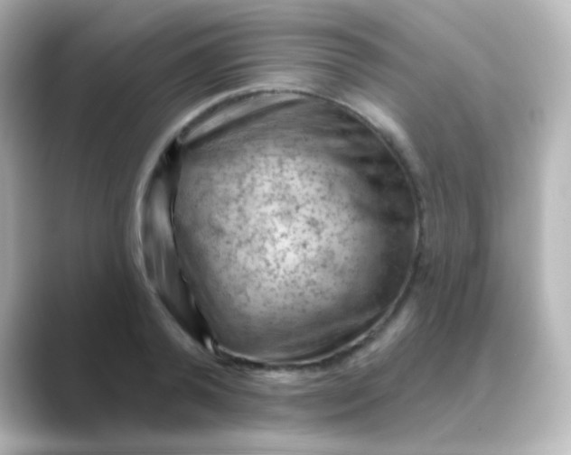 X0000088830792200706211814