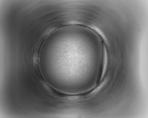 X0000088830793200706211814