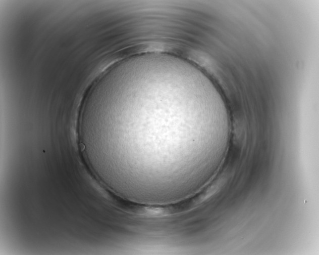 X0000088830794200706211814