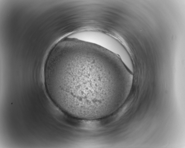 X0000088830795200706211814