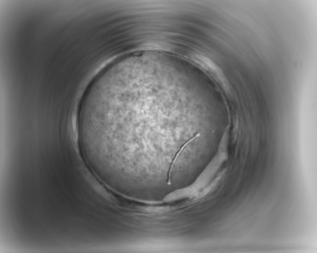 X0000088830796200706211814