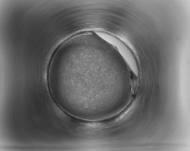 X0000088830797200706211814