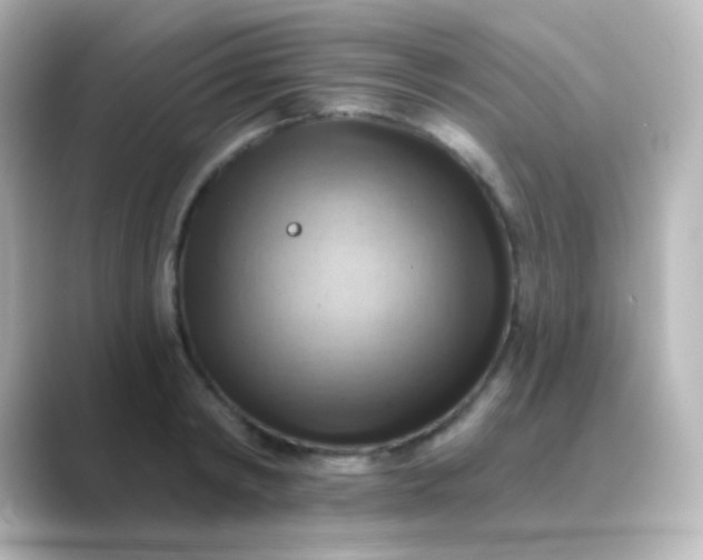 X0000088830798200706211814