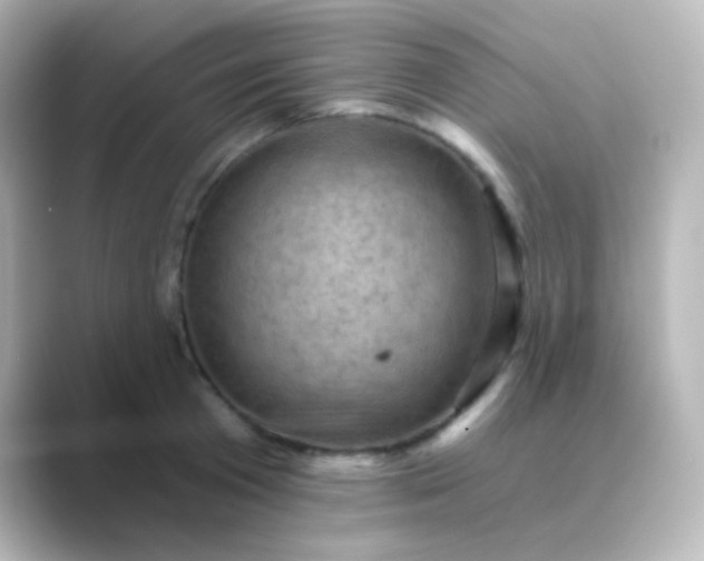 X0000088830801200706211814