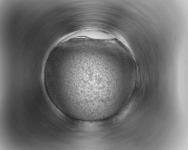 X0000088830803200706211814