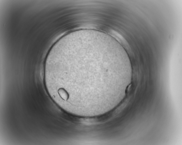 X0000088830804200706211814