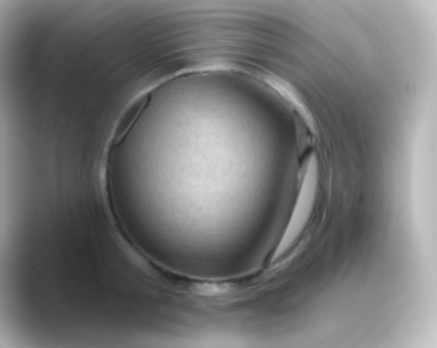 X0000088830805200706211814