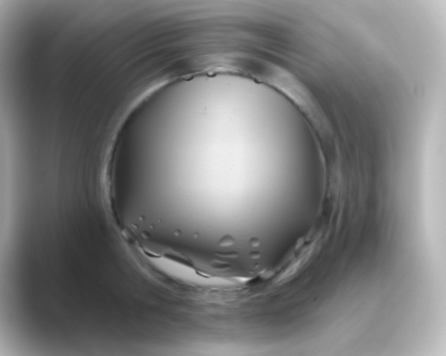 X0000088830806200706211814