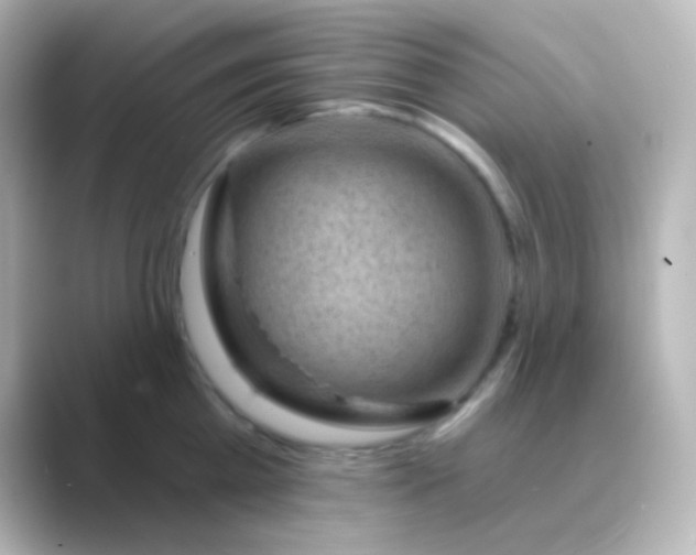 X0000088830809200706211814