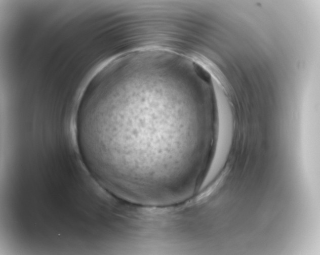 X0000088830812200706211813