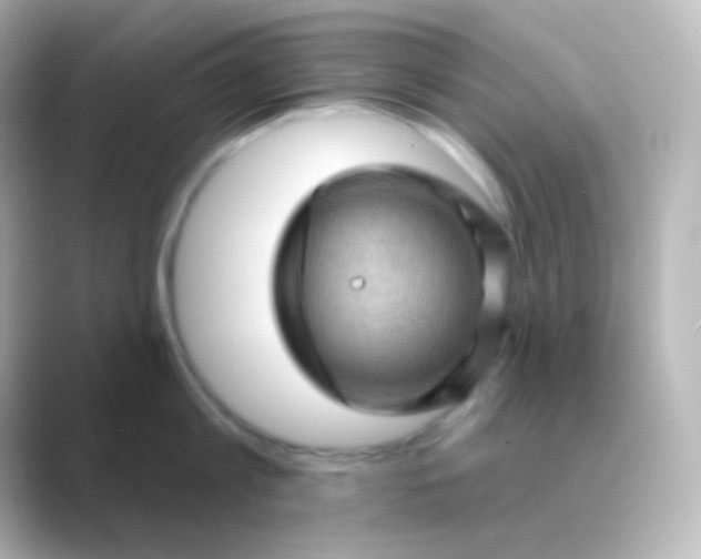 X0000088830813200706211813