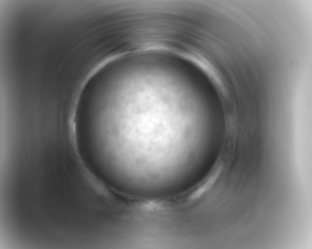 X0000088830814200706211813