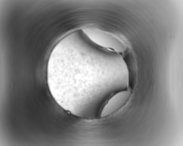 X0000088830816200706211813