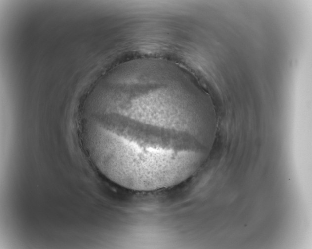 X0000088830817200706211813