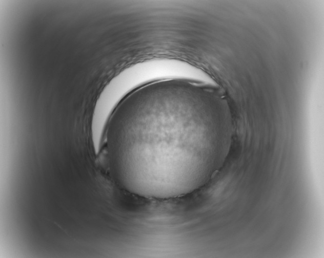 X0000088830818200706211813