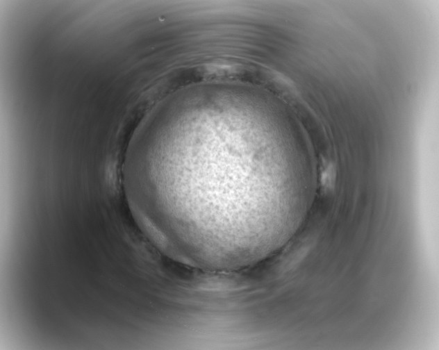 X0000088830819200706211813