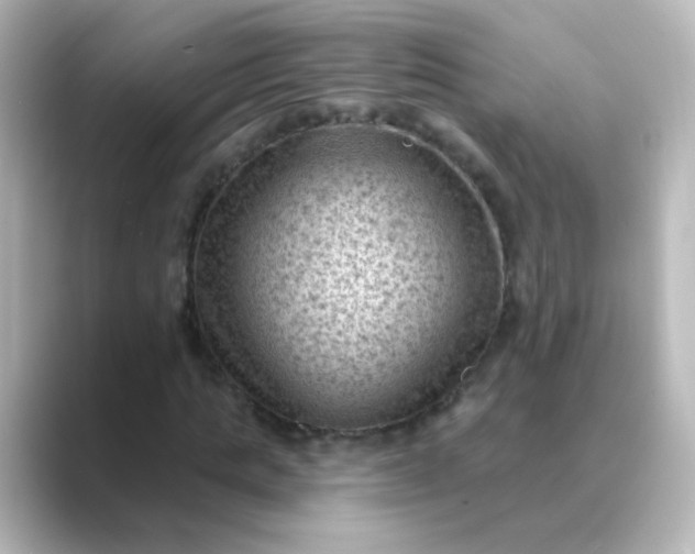 X0000088830821200706211813