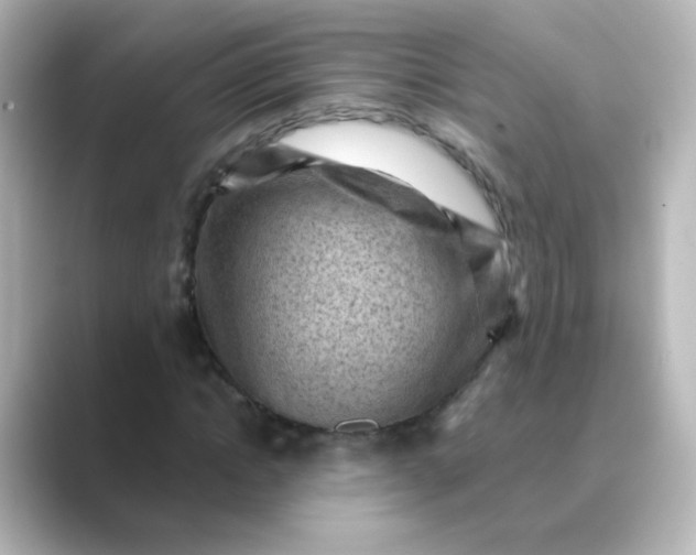 X0000088830822200706211813