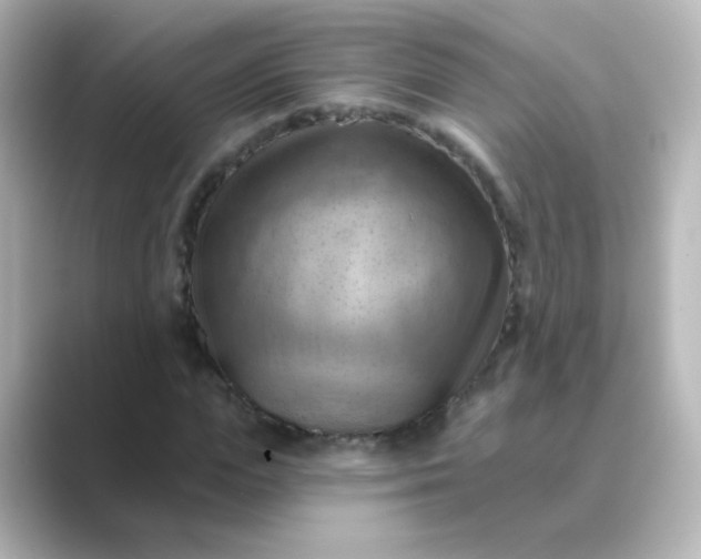 X0000088830823200706211813