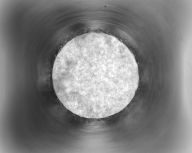 X0000088830824200706211813