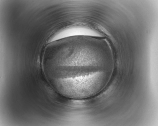 X0000088830825200706211813