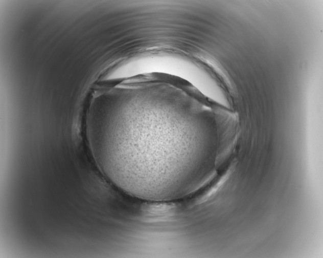 X0000088830826200706211813