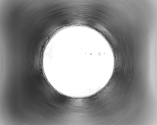 X0000088830828200706211813