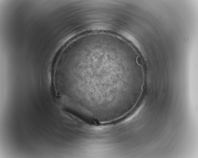 X0000088830829200706211813