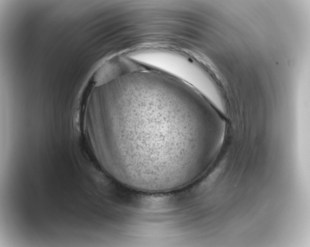 X0000088830830200706211813