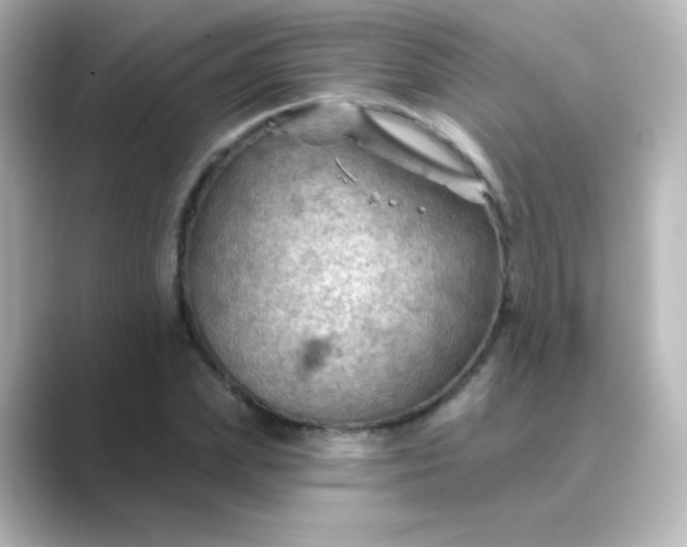 X0000088830831200706211813