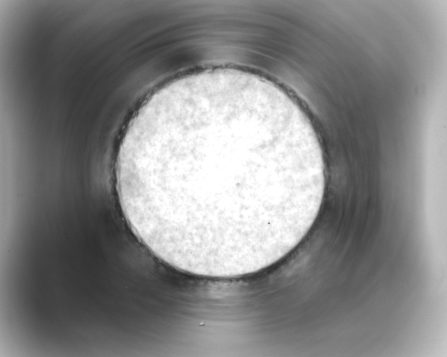 X0000088830832200706211813