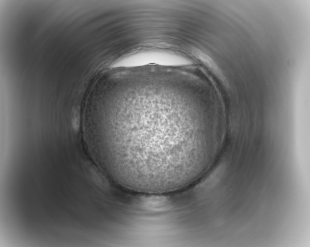 X0000088830833200706211813