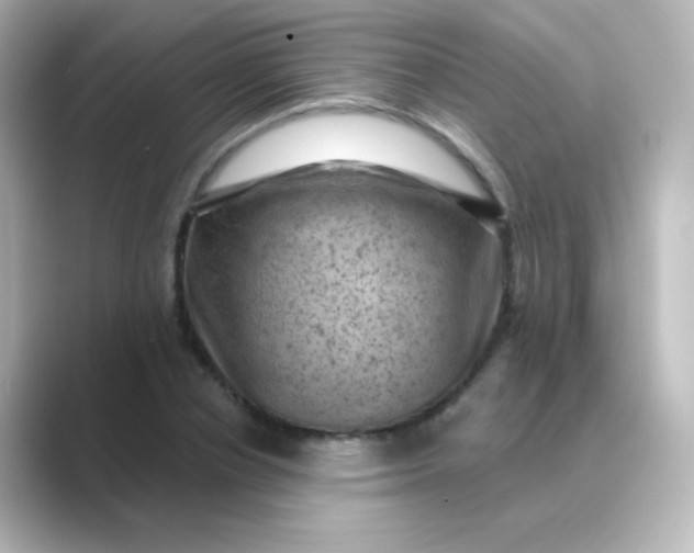 X0000088830834200706211813